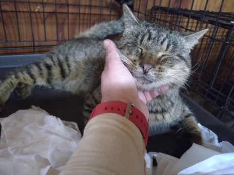 20251229_174206_copy_800x600