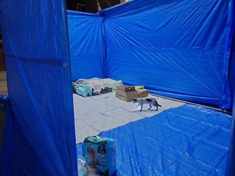 20230704_145444_copy_800x600