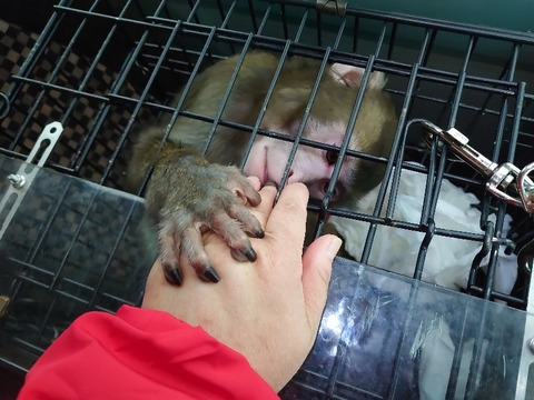 DSC_4232_copy_800x600