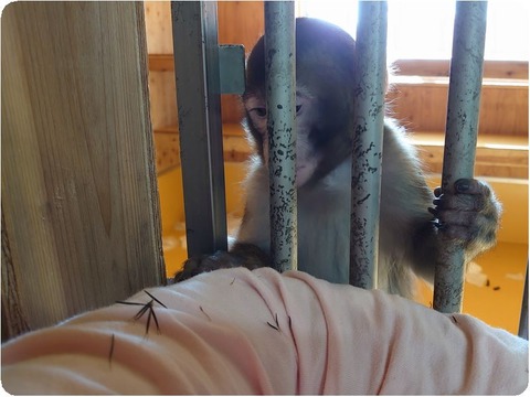 DSC_1269_copy_3226x2419