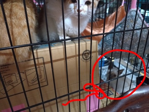 20251217_093944~2_copy_800x600