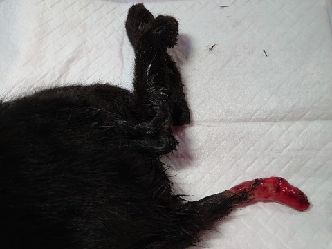 DSC_0616_copy_800x600