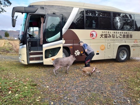 DSC_1882_copy_800x600