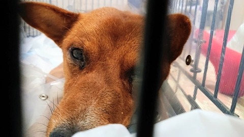 DSC_0179_copy_800x450~2_copy_800x450