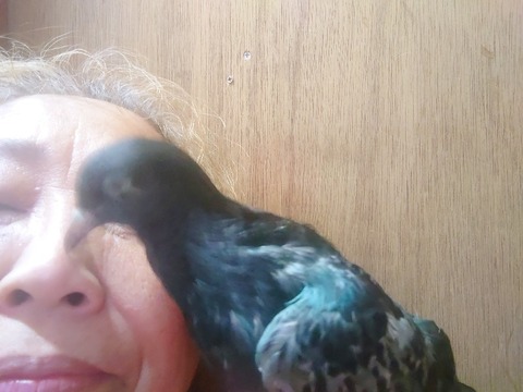 20230901_092441_copy_800x600