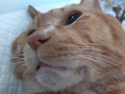 20240521_103914_copy_800x600