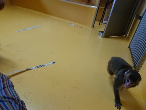 DSC_5875_copy_800x600