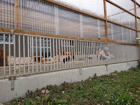 DSC_5890_copy_800x600