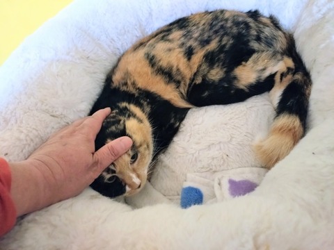 20260304_085340~2_copy_800x600