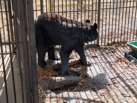 20250421_142745_copy_816x612