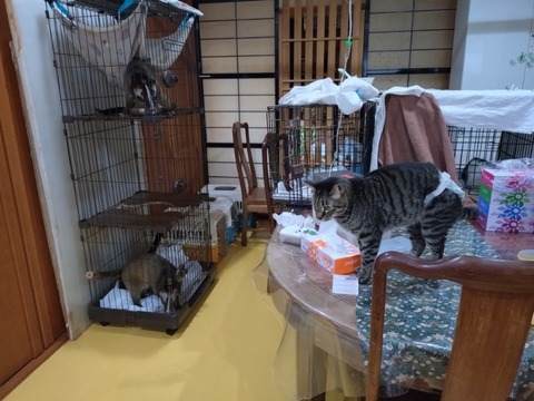 20260130_080947_copy_800x600