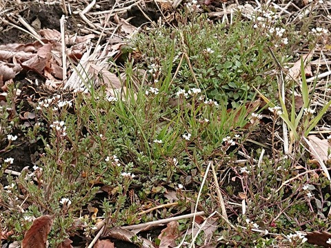 DSC_5886_copy_800x600