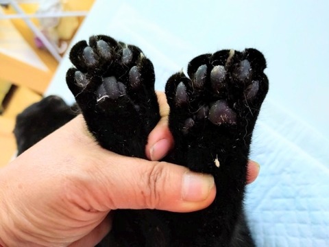 20251224_135814_copy_800x600~2