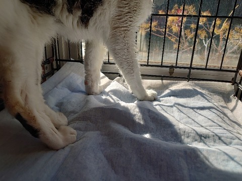 DSC_1542_copy_800x600