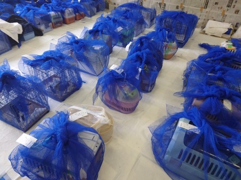 20220725_113448_copy_800x600