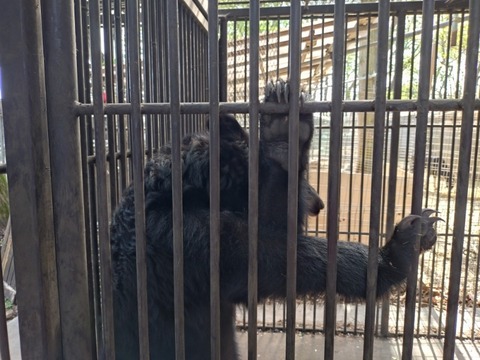 20250421_141854_copy_800x600