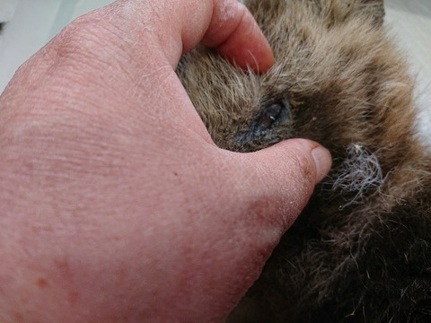 DSC_5842_copy_800x600