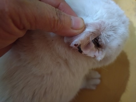 20251213_125024_copy_800x600