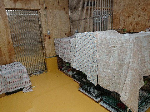 DSC_4682-800x600
