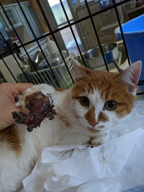 1582121935004_copy_600x800