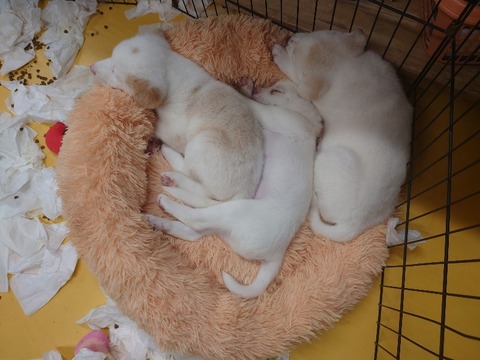 20231226_164636_copy_800x600