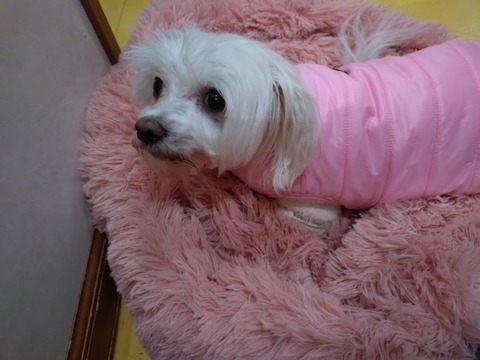 20251027_090618_copy_800x600