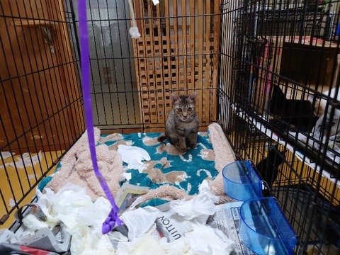 20230301_083851_copy_800x600