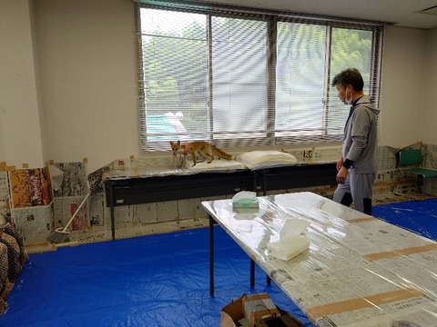 20220724_123809_copy_800x600_1