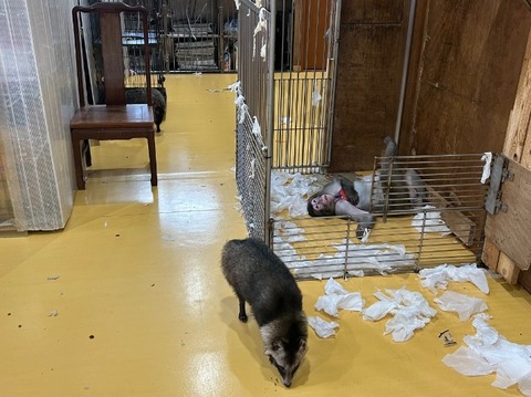 1765872917817_copy_709x531