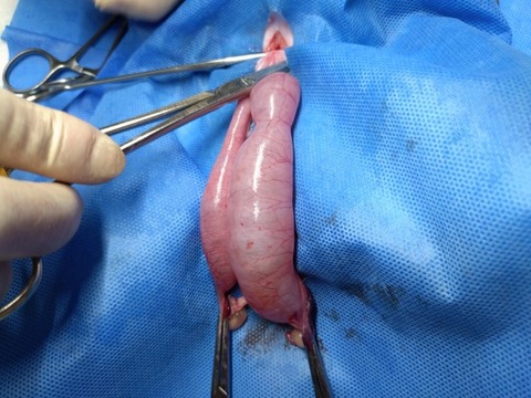 20251217_191440_copy_800x600