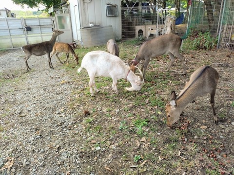 20251012_145111~2_copy_800x600