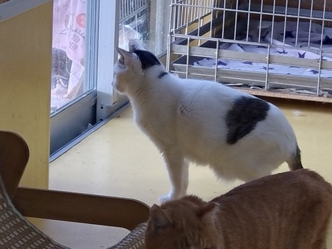 20251102_072800_copy_816x612