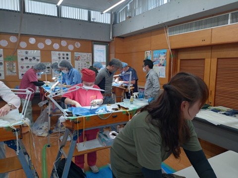 20251124_120743_copy_800x600