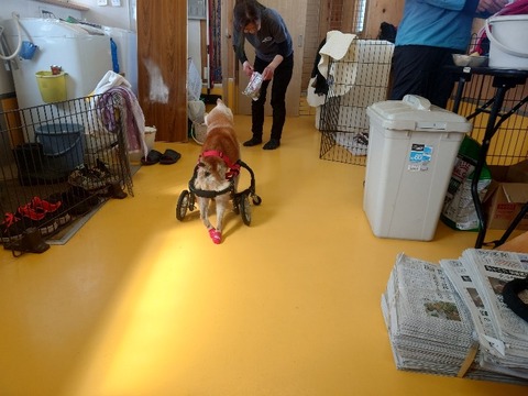 20240308_132525_copy_800x600