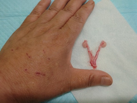 20220725_093106_copy_800x600_1