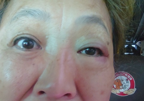 DSC_1833_copy_800x561