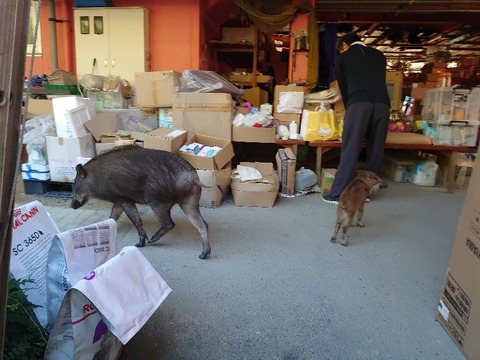 DSC_1654_copy_800x600