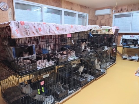 20260303_193754_copy_800x600