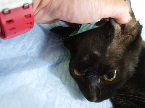 20220725_165831_copy_800x600_1