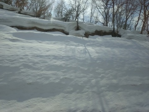 20250307_125525_copy_800x600