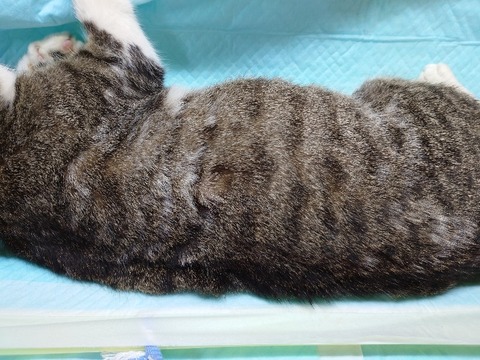 20230223_110046_copy_800x600