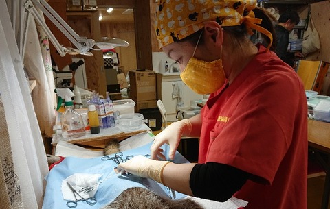 DSC_5702_copy_800x509