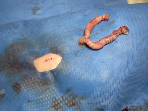 20251221_121734_copy_800x600