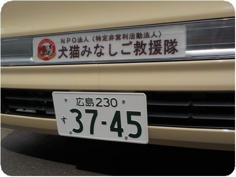 DSCN5527