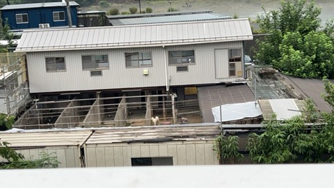 1729497552971_copy_800x450