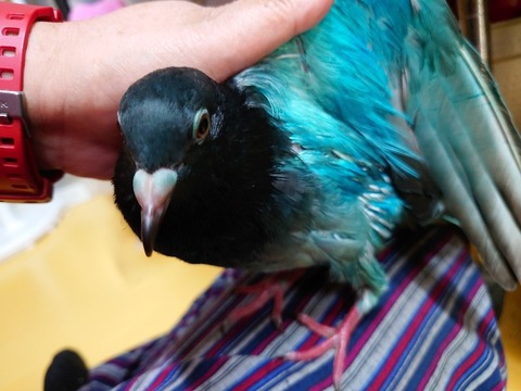 20230901_092241_copy_800x600