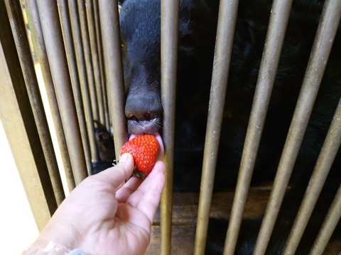 20231225_195034_copy_800x600