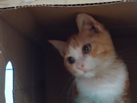 20260119_082647_copy_816x612