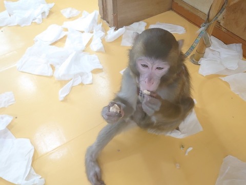 DSC_4241_copy_800x600