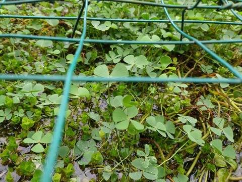 20230531_090305_copy_800x600